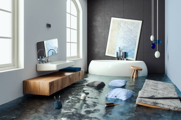 Shepherdstown, WV Water damage restoration Company