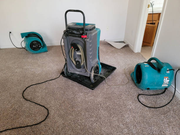Best Water damage restoration specialists  in Shepherdstown, WV