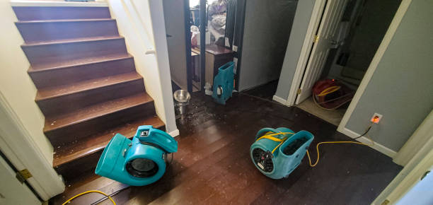 Water damage restoration mold remediation in Shepherdstown, WV