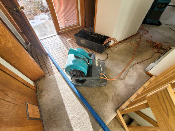 Best Water damage restoration experts  in Shepherdstown, WV