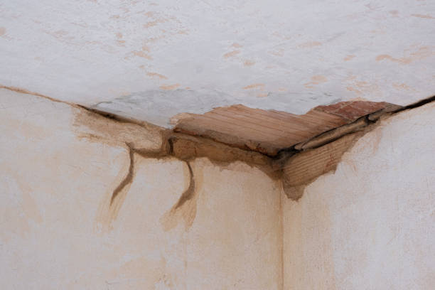 Best Mold removal after water damage  in Shepherdstown, WV