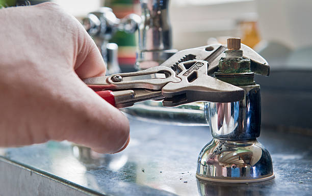 Best Basement water damage restoration  in Shepherdstown, WV