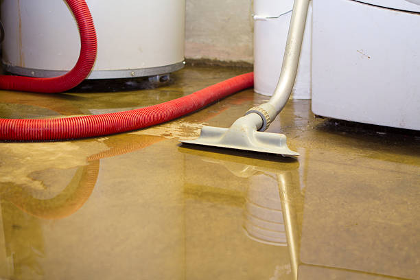 Best 24-hour water damage restoration  in Shepherdstown, WV