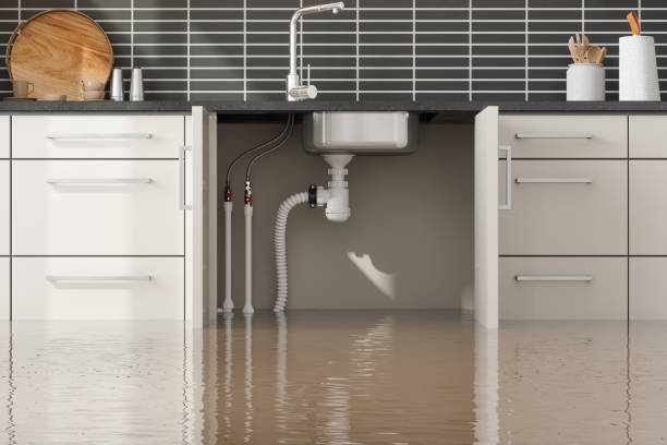 Best Water damage contractors near me  in Shepherdstown, WV