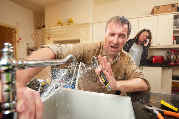 Best Water damage restoration company  in Shepherdstown, WV